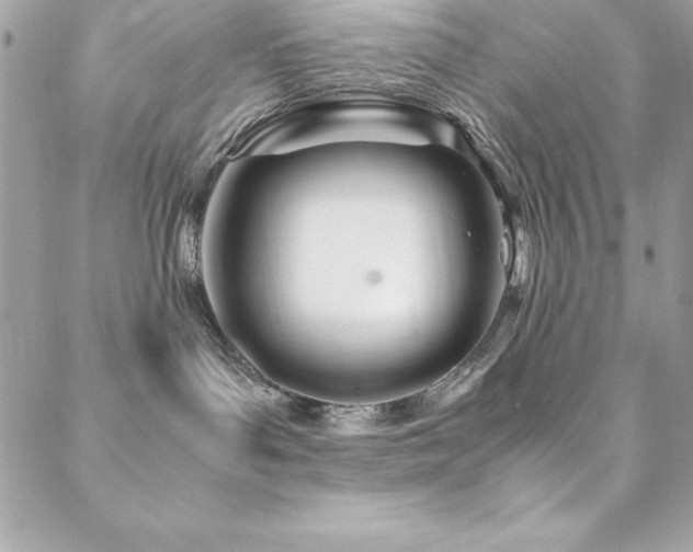 X0000089410143200706151301