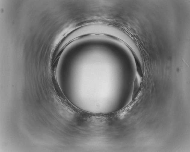 X0000089410150200706151300