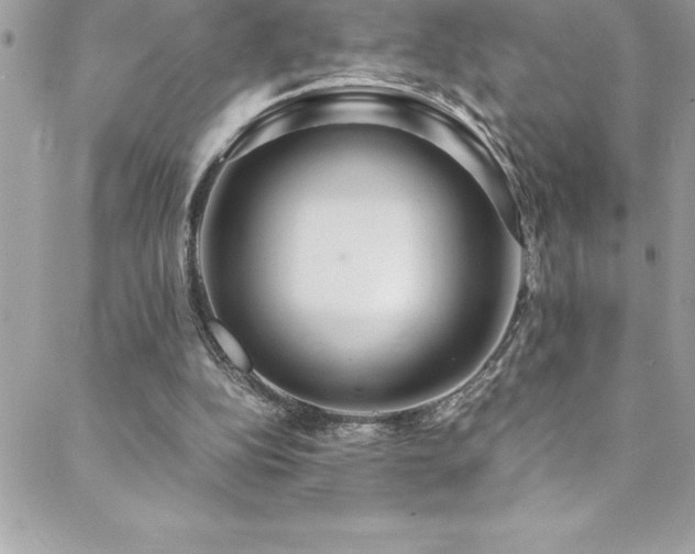 X0000089410152200706151300