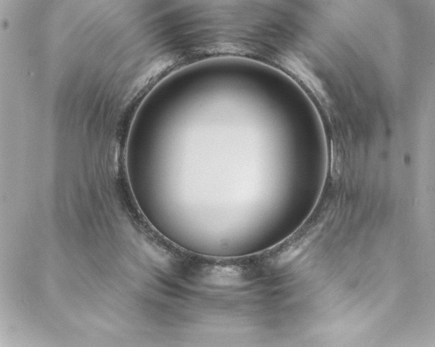X0000089410157200706151300