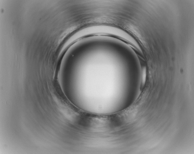 X0000089410164200706151300