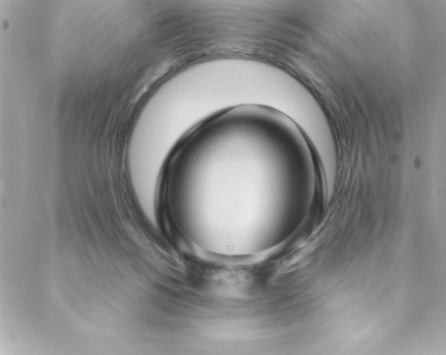 X0000089410168200706151300