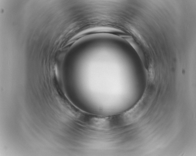 X0000089410170200706151300