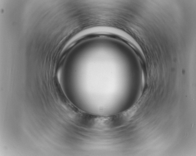 X0000089410172200706151300