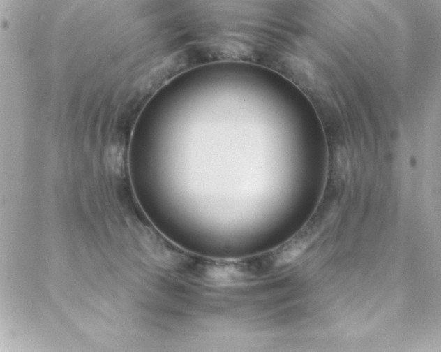 X0000089410177200706151300