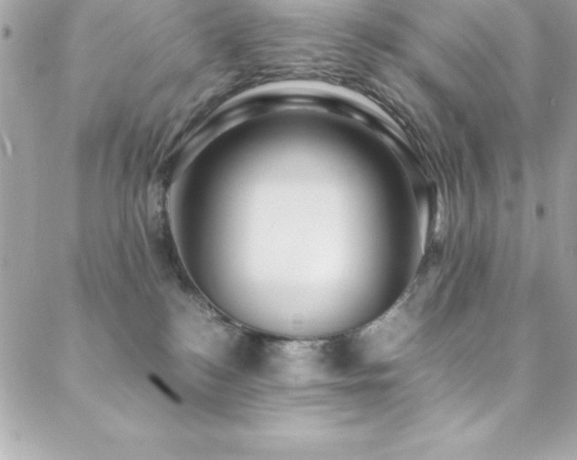 X0000089410184200706151301