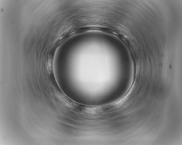 X0000089410190200706151301