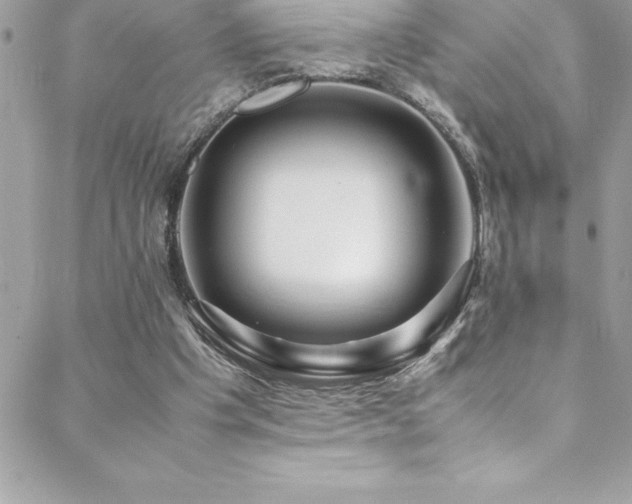 X0000089410201200706151300
