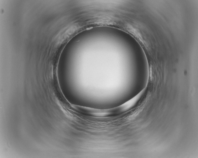 X0000089410205200706151300