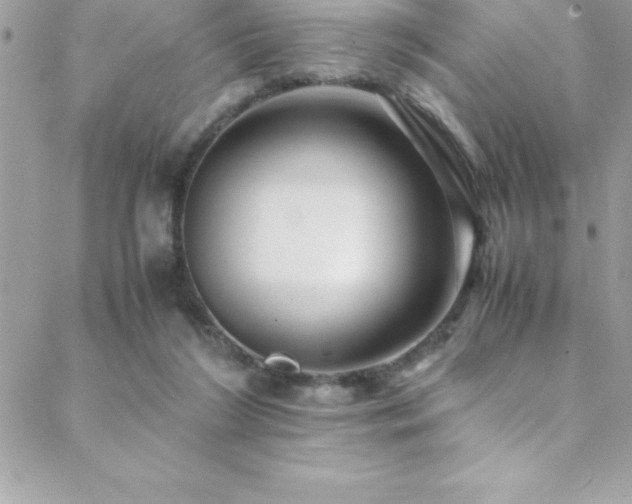 X0000089410212200706151300