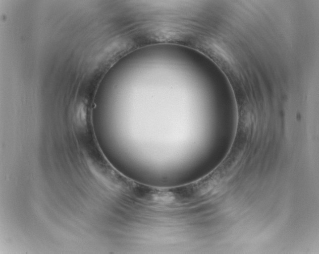 X0000089410214200706151300