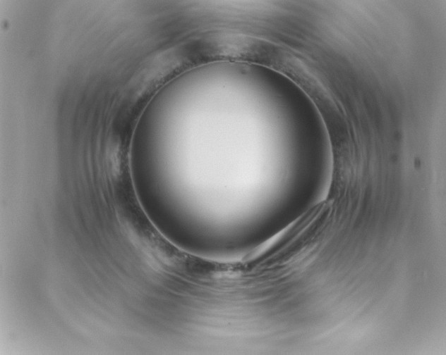 X0000089410216200706151300