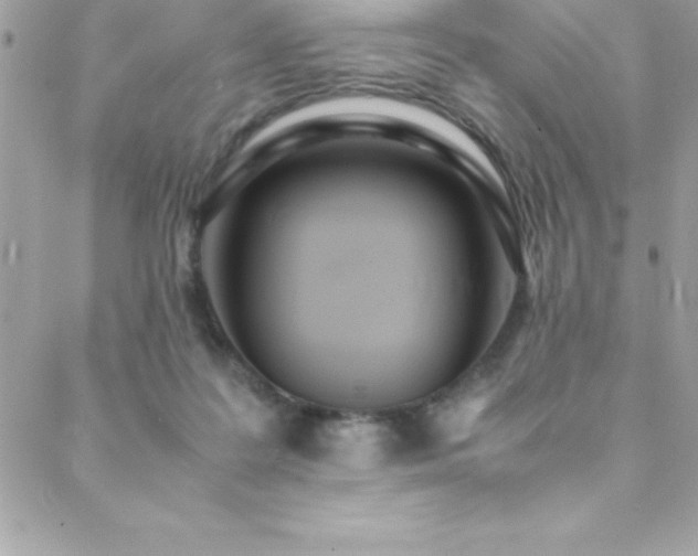 X0000089410219200706151300