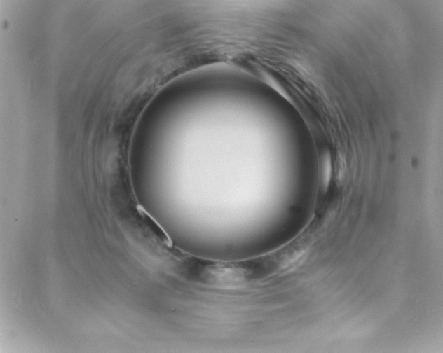 X0000089410221200706151259