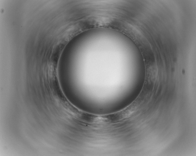 X0000089410222200706151259