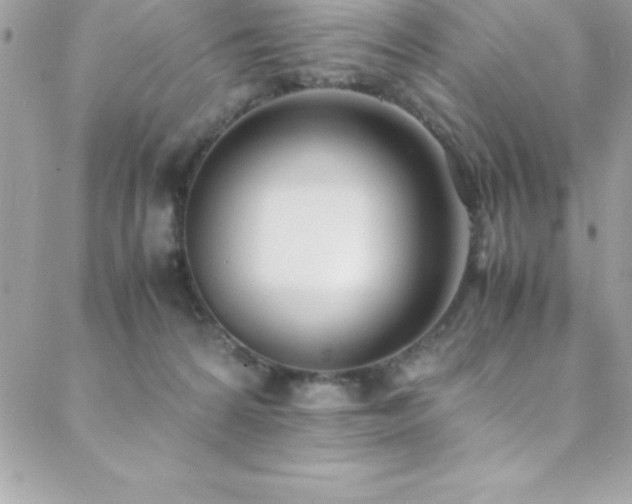X0000089410224200706151259