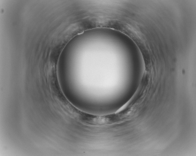 X0000089410225200706151259