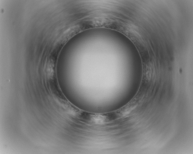 X0000089410226200706151259