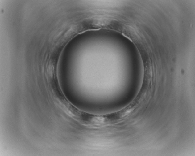 X0000089410227200706151259