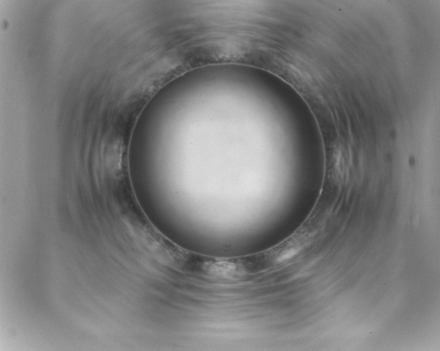 X0000089410230200706151259