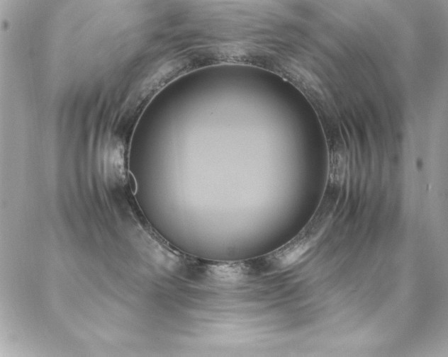 X0000089410238200706151259