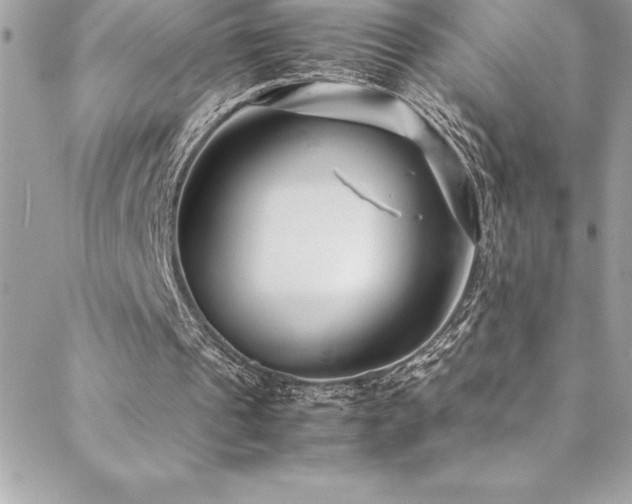 X0000089410241200706151258