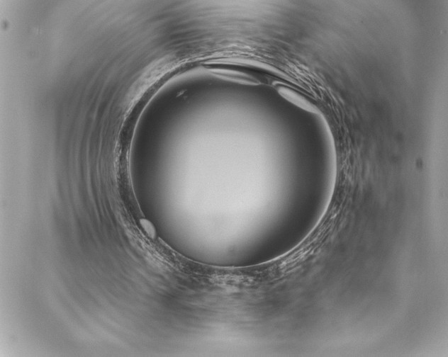 X0000089410242200706151258