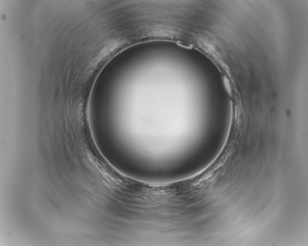 X0000089410249200706151259