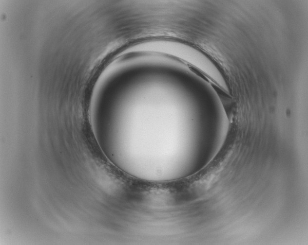 X0000089410256200706151259