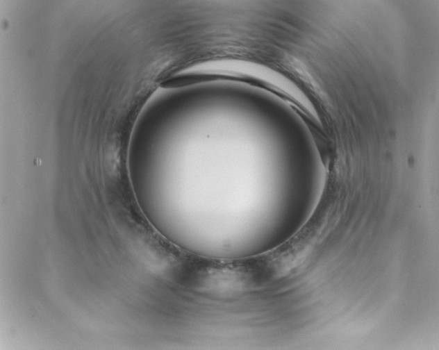 X0000089410259200706151259