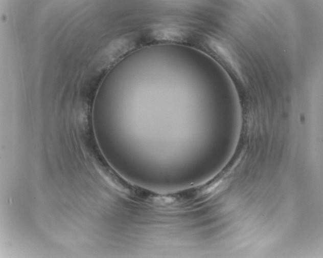 X0000089410265200706151259