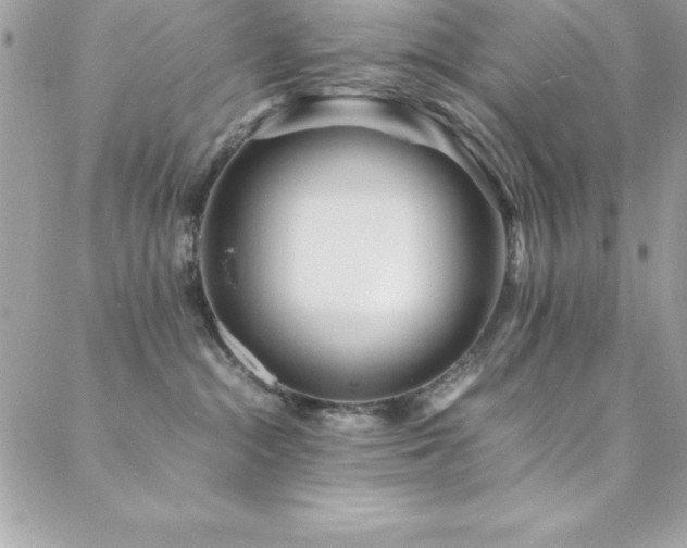 X0000089410284200706151259