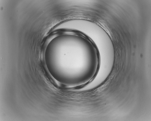 X0000089410301200706151258