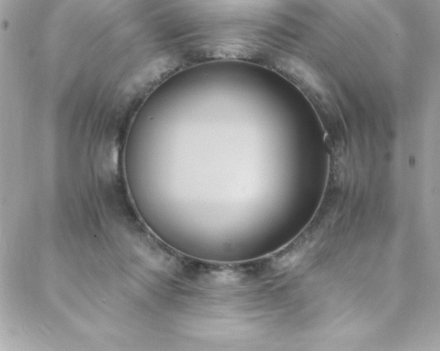 X0000089410310200706151258