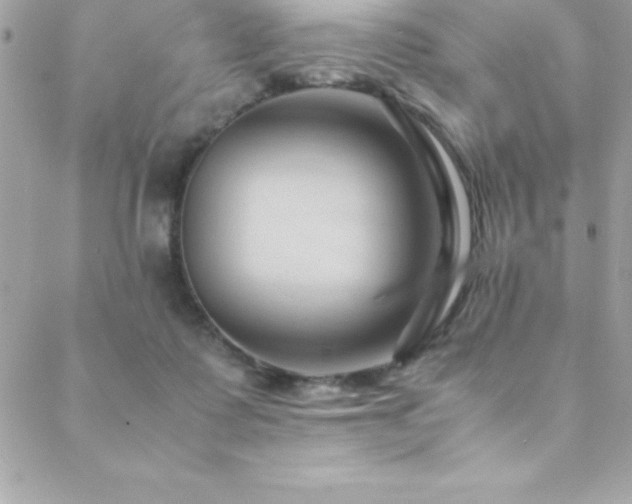 X0000089410315200706151258