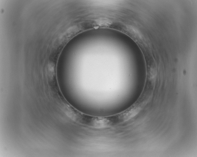 X0000089410321200706151258