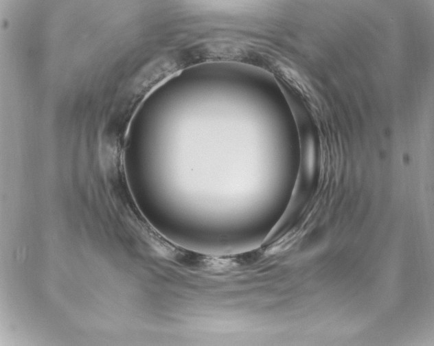 X0000089410333200706151258