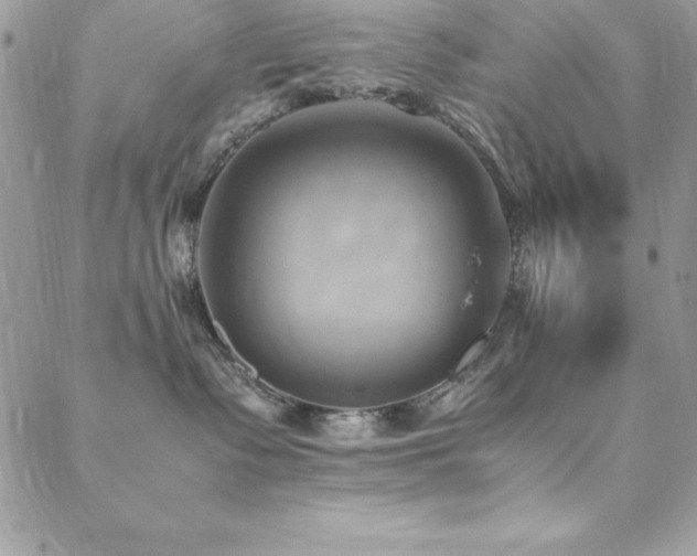 X0000089410335200706151258
