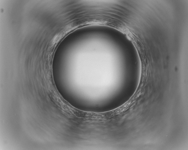 X0000089410337200706151257