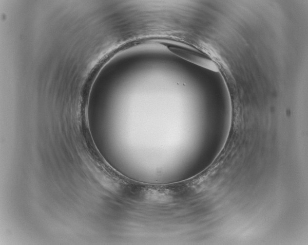 X0000089410346200706151257