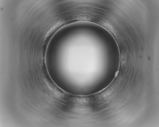 X0000089410349200706151257