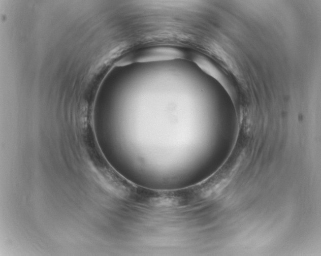 X0000089410356200706151257