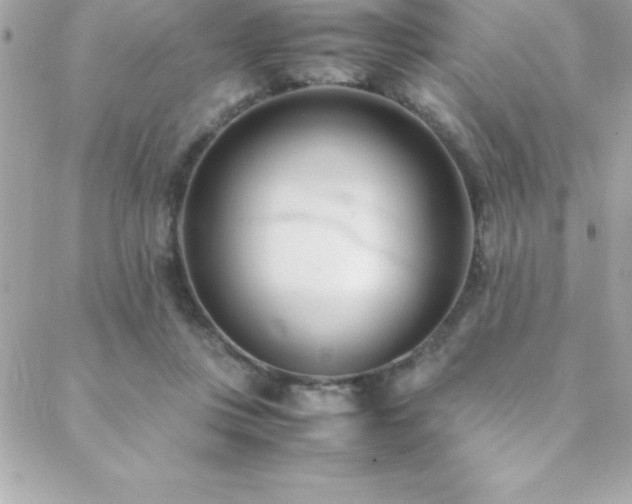 X0000089410359200706151257