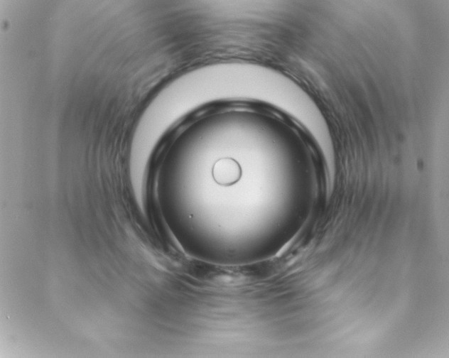 X0000089410364200706151257
