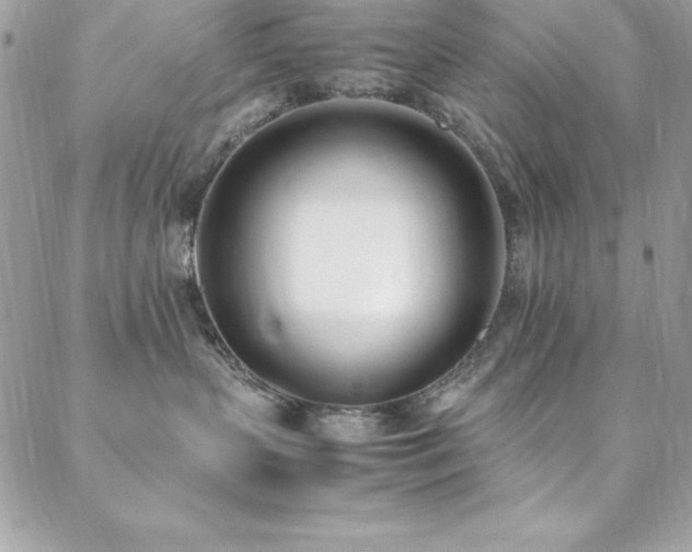 X0000089410383200706151258