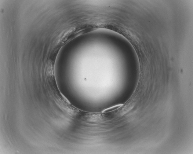 X0000089410384200706151258