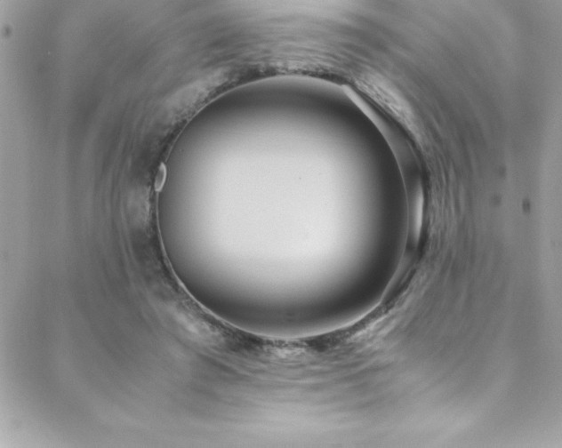 X0000089410401200706151257