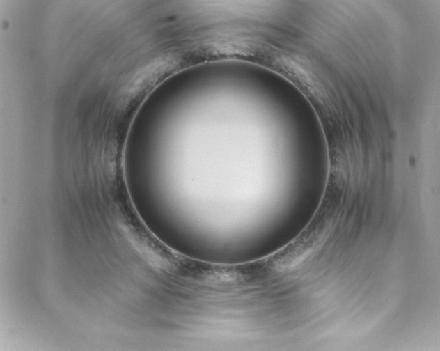 X0000089410402200706151257