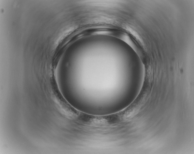 X0000089410403200706151257