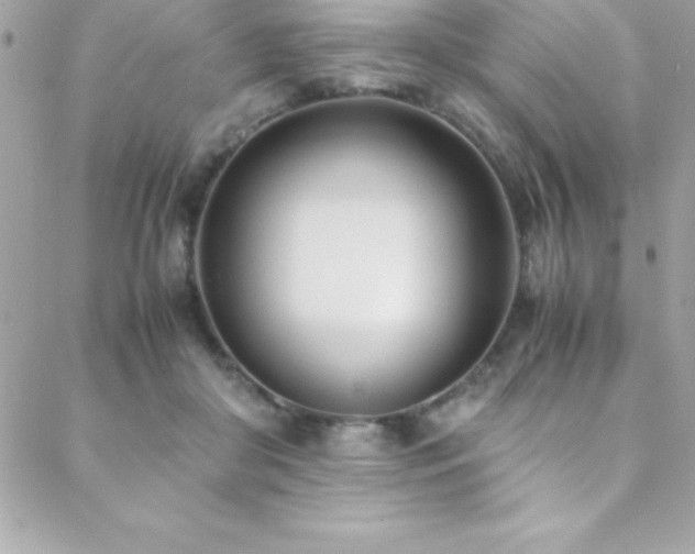 X0000089410410200706151256
